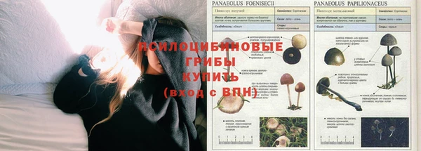 кокаин колумбия Гусев