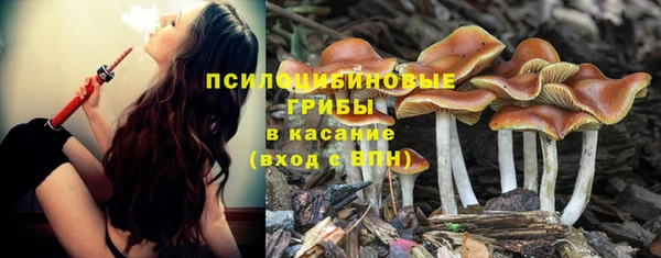 прущий лед Гусь-Хрустальный